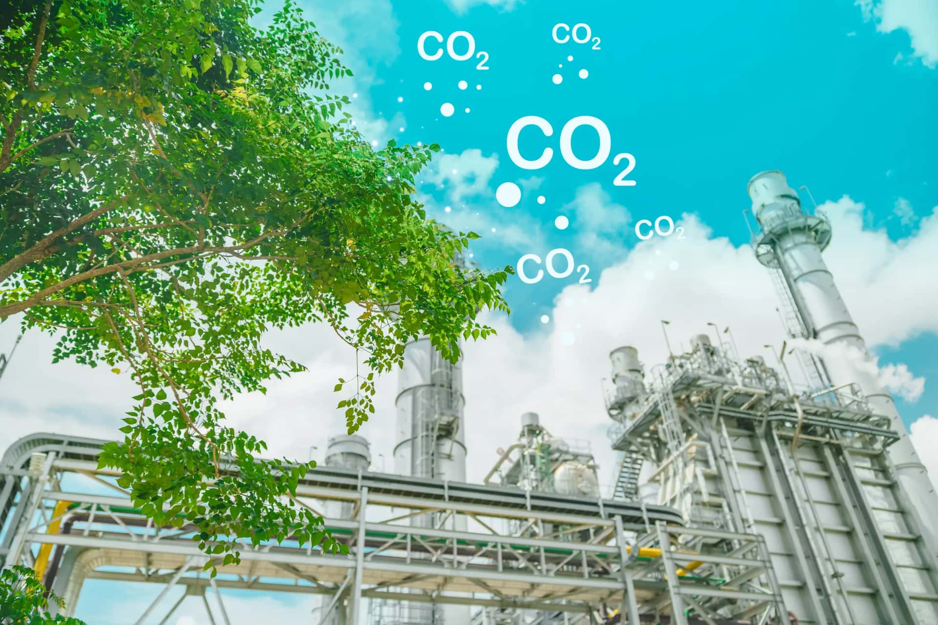 Carbon credit - environment sustainability